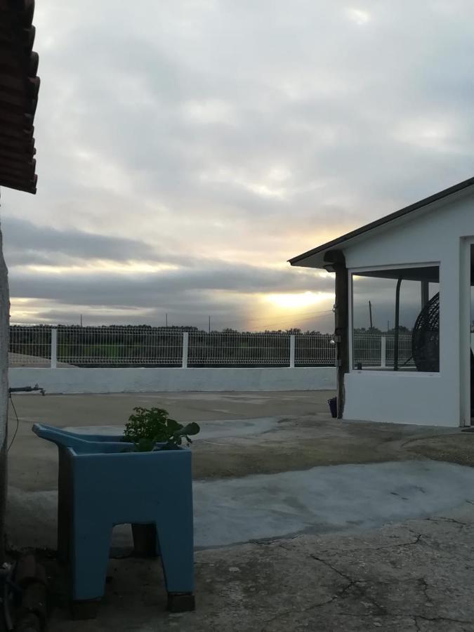 Snow Guest House Santarém エクステリア 写真