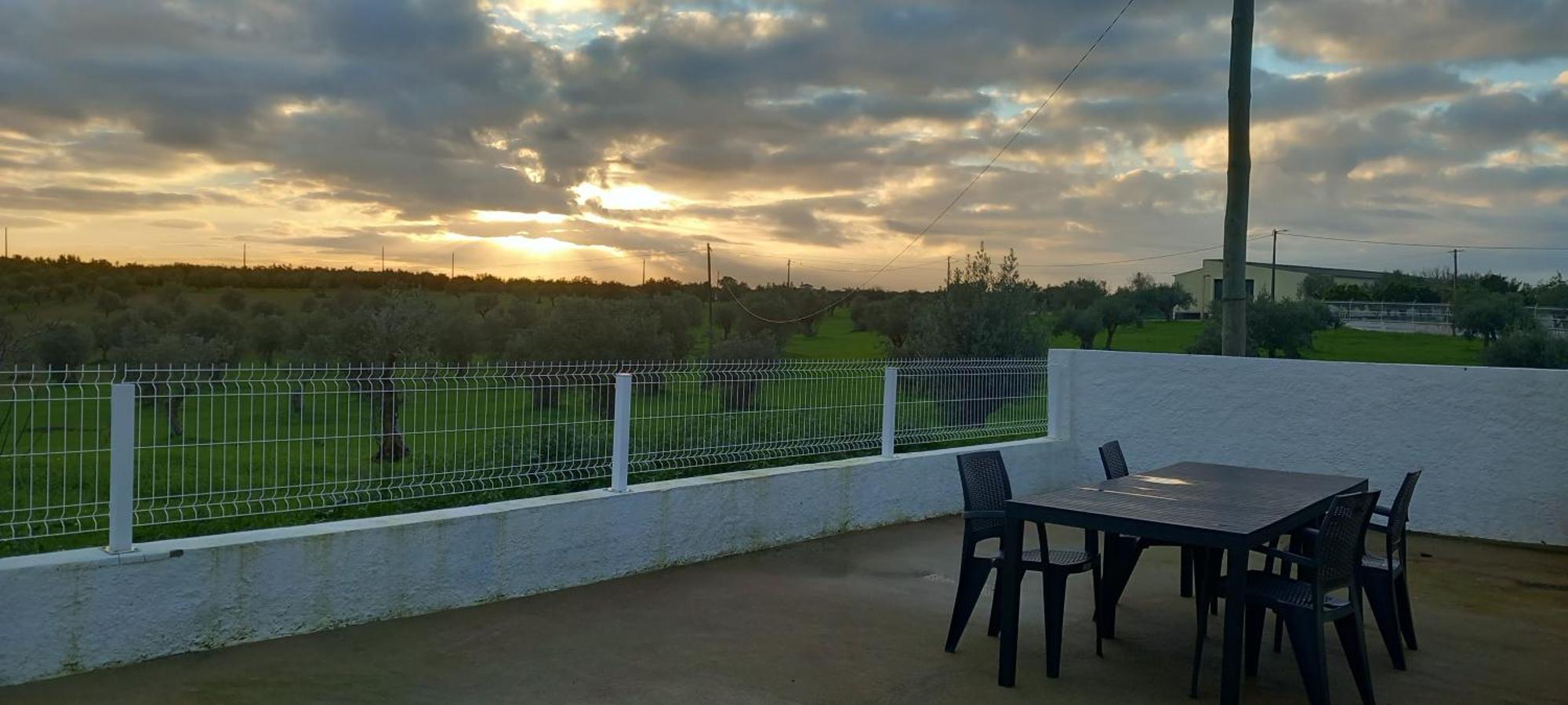 Snow Guest House Santarém エクステリア 写真